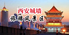 欧美黑人粗大鸡巴搞逼中国陕西-西安城墙旅游风景区